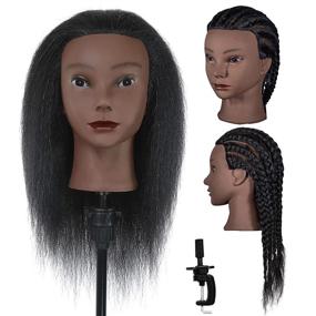 img 4 attached to 💇 DANSEE 100% Genuine Human Hair Mannequin Head - Styling Training Head with Free Clamp for Cosmetology Dolls