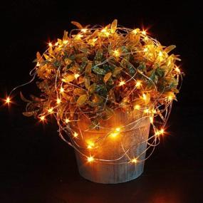 img 4 attached to 🔸 Engilen Fairy Lights 7.2ft 20 LED Copper Wire String Lights - Battery Operated for Home Decor, DIY Crafts, Christmas, Holidays - 6 Pack (Orange)