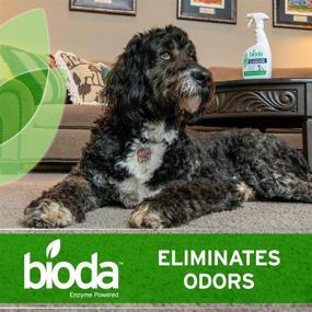 img 3 attached to 🐾 Bioda Commercial Strength Enzymatic Stain & Odor Eliminator for Pets – Powerful USA Made Carpet Spot Cleaner, Removes Dog and Cat Urine with Industrial-Grade Formula – 32oz Sprayer