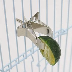 img 3 attached to QBLEEV Holder，Parrots Cage，Stainless Conures，Birdcage Accessories