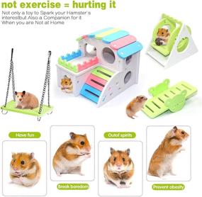 img 3 attached to 🐹 JUNBEI 4 Piece Hamster Toy Set - Dwarf Hamsters, Includes House, Swing, Seesaw - DIY Wooden Accessories for Small Hamsters, Mice, Gerbils - Green