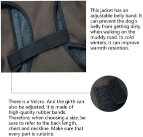 img 1 attached to 🐶 ASMPET Waterproof Dog Jacket - All Weather Coats for Dogs, Lightweight & Windproof Vest with Fleece Lining, Leash Hole Included - Winter Warm Clothes for Medium to Large Dogs, Size XS-XL