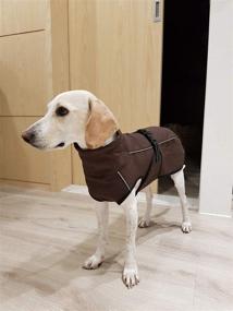 img 3 attached to 🐶 ASMPET Waterproof Dog Jacket - All Weather Coats for Dogs, Lightweight & Windproof Vest with Fleece Lining, Leash Hole Included - Winter Warm Clothes for Medium to Large Dogs, Size XS-XL