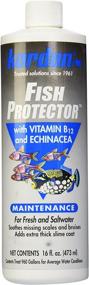img 2 attached to 🐠 KORDON #31456 Fish Protector – 16-Ounce Aquarium Solution