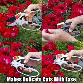 img 2 attached to 🌿 The Gardener's Friend Pruners: Ratchet Pruning Shears for Weak Hands - Perfect Gardening Gift for Any Occasion!