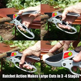 img 1 attached to 🌿 The Gardener's Friend Pruners: Ratchet Pruning Shears for Weak Hands - Perfect Gardening Gift for Any Occasion!