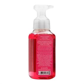 img 1 attached to 🧼 Gentle Foaming Hand Soap - Bath Body Works Twisted Peppermint, Antibacterial 8.75 oz