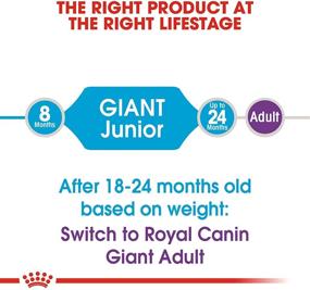 img 1 attached to 🐾 Giant Junior Dry Dog Food by Royal Canin: Superior Nutrition for Growing Giants