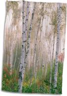 usa new hampshire birch clearing multicolor логотип