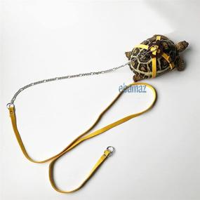 img 3 attached to ebamaz Leather Harness Leash for Tortoise/Turtle Pet Walking Control Rope Chest Collar