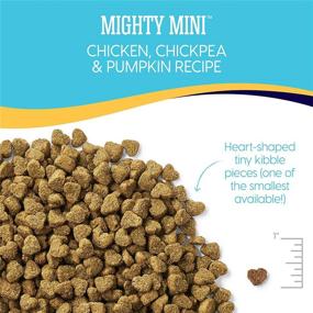 img 2 attached to 🐶 Solid Gold Mighty Mini - Grain-Free Holistic Dry Dog Food for Toy and Small Breeds with Sensitive Stomachs - Probiotic Support for All Life Stages