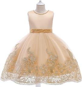 img 3 attached to 👗 Little Girls' Clothing: Applique Dresses with Embroidered 4+10Years Birthday Theme