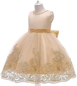 img 2 attached to 👗 Little Girls' Clothing: Applique Dresses with Embroidered 4+10Years Birthday Theme