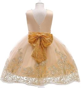 img 1 attached to 👗 Little Girls' Clothing: Applique Dresses with Embroidered 4+10Years Birthday Theme