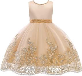 img 4 attached to 👗 Little Girls' Clothing: Applique Dresses with Embroidered 4+10Years Birthday Theme