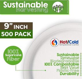 img 3 attached to 🌿 500-Count Compostable Sugarcane Sheets by Green Earth