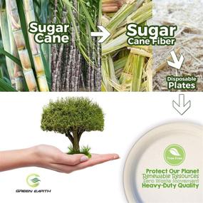 img 2 attached to 🌿 500-Count Compostable Sugarcane Sheets by Green Earth