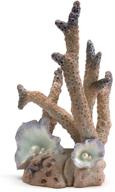 biorb 46118 0 coral ornament aquariums логотип