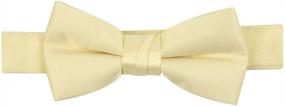 img 4 attached to 👔 HoldEm Satin Solid Adjustable Pre Tied Boys' Accessories and Bow Ties: Elegant Style for Young Gentlemen