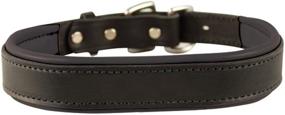 img 3 attached to Stylish Metallic and Bold 🐶 Non-Metallic Perri's Padded Leather Dog Collars