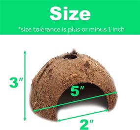 img 2 attached to 🐢 Optimized 3-Pack Coconut Shell Hideouts for Reptiles, Amphibians, Fishes, Bearded Dragons, Hamsters, Tortoises, and Hermit Crabs