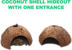 img 3 attached to 🐢 Optimized 3-Pack Coconut Shell Hideouts for Reptiles, Amphibians, Fishes, Bearded Dragons, Hamsters, Tortoises, and Hermit Crabs