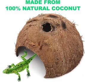 img 1 attached to 🐢 Optimized 3-Pack Coconut Shell Hideouts for Reptiles, Amphibians, Fishes, Bearded Dragons, Hamsters, Tortoises, and Hermit Crabs