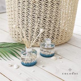 img 2 attached to 🌊 Cocodor Aqua Diffuser: 120ml / 4.05 oz, Aqua Marine Scent - Reed Diffuser for Home & Office Decor, Room Fragrance & Oil Diffusing, Perfect Birthday or Wedding Gift