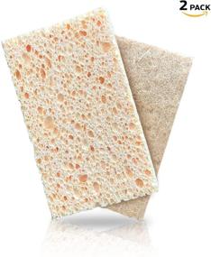 img 1 attached to Eco-Friendly Kitchen Sponge: Biodegradable Natural Scrub Pads for Dishes, Non-Scratch Sponge, Cleaning Kitchen Scrubbers with Cellulose & Coconut