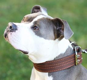 img 3 attached to 🐾 Genuine Leather Dog Collar, Brown with Padding, 1.5" Width. Designed for 14"-18" Neck Size, Ideal for Medium Breeds