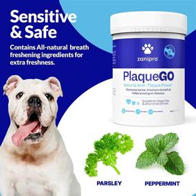 img 2 attached to 🐾 Zanipro Anti Plaque Powder: Natural Plaque Off for Dogs, Cats, and Pets - Fresh Breath, Healthy Teeth and Gums - Prevents Plaque & Tartar Build Up - Digestive System Safe - 180g