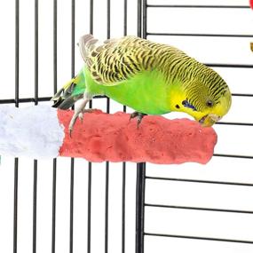 img 1 attached to Bird Perches for Parrots - Cuttlebone Calcium Perch with Holder for Birds Cage Accessories by POPETPOP