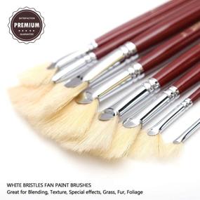 img 2 attached to 🖌️ Кисти для живописи веерной формы Dainayw White Bristles - Профессиональный набор художественных кистей для масляной и акриловой живописи с длинной ручкой (9 шт)