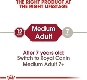 img 1 attached to 🐶 Optimal Nutrition for Adult Medium Breed Dogs - Royal Canin Medium Breed Adult Dry Dog Food