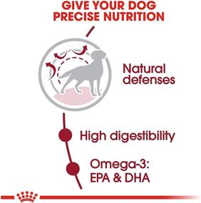 img 2 attached to 🐶 Optimal Nutrition for Adult Medium Breed Dogs - Royal Canin Medium Breed Adult Dry Dog Food