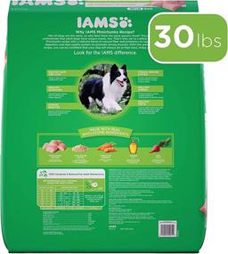 img 3 attached to IAMS Minichunks Chicken Flavored Adult Dry Dog Food: Premium Nutrition for Your Furry Friend