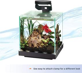 img 2 attached to 🐠 Aqueon Betta LED Light: Enhancing the Well-being of Your Beloved Betta Fish