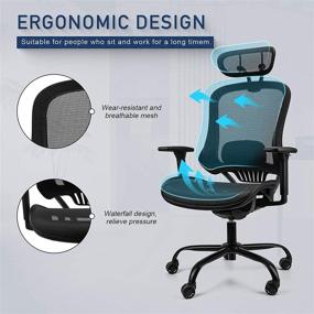 img 2 attached to 🪑 Ergousit Ergonomic Mesh Office Chair: Adjustable Height, Backrest, and Lumbar Support for Enhanced Comfort and Performance