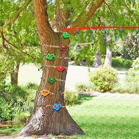 img 3 attached to 🌳 Fun and Sturdy Tree Climbing Holds for Kids and Adults - 12 Pcs Set with Ratchet Straps for Indoor and Outdoor Playgrounds - Choose from 2 Shapes & 6 Colors - Maximum 230 LBS Capacity