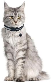 img 2 attached to 🐱 12 Pack Reflective Cat Collar with Bell – Adjustable Solid & Paw Unique Design – Soft Nylon Kitten Collars for Kitty Puppy 7.4-11.8in