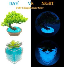 img 1 attached to 🐠 Foneeus Glow in The Dark Aquarium Gravel Decor, 100 Pcs Blue Fish Tank Rocks, Decorative Rock Stones for Betta Fish Tank, Bonsai Plant Pots, Resin Pebbles Accessories