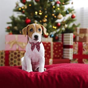 img 2 attached to 🎀 Adjustable Cotton Red Bowtie Christmas Dog Collar for Small Medium Large Dogs Pets - Enhance Festive Style