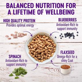 img 3 attached to Wellness Complete Health Natural Dry Small Breed Puppy Food with Turkey, Salmon & Oatmeal