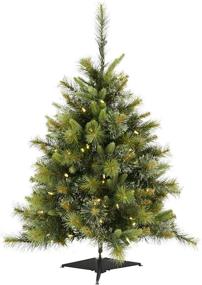 img 3 attached to Vickerman 3' Cashmere Pine Artificial Christmas Tree with Warm White 🌲 Dura-Lit LED Lights - Faux Christmas Tree for Festive Indoor Home Decor