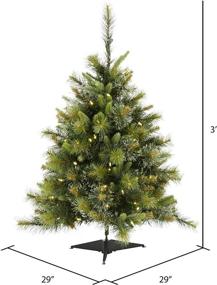 img 2 attached to Vickerman 3' Cashmere Pine Artificial Christmas Tree with Warm White 🌲 Dura-Lit LED Lights - Faux Christmas Tree for Festive Indoor Home Decor