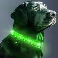 eversunn led dog collar: usb rechargeable, waterproof, adjustable & reflective light-up collar - large size logo