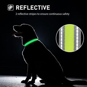 img 1 attached to EVERSUNN LED Dog Collar: USB Rechargeable, Waterproof, Adjustable & Reflective Light-Up Collar - Large Size