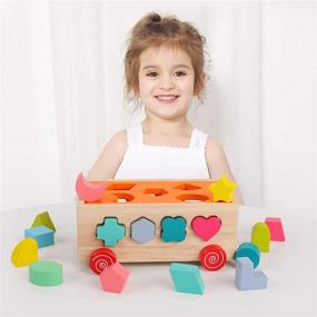 img 3 attached to Wooden Shape Sorter Toys for Toddlers 1-3 Years Old - Montessori Learning Set for Early Development - Fine Motor Skills, Hand-Eye Coordination - Perfect Gift for Preschool Boys & Girls