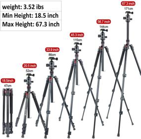 img 1 attached to 📷 JEIFN Q558 67.3-Inch Lightweight Camera Tripod for Sony Nikon Canon w/ 1/4" Quick Release Plate, 360° Ball Head, Phone Clip - Heavy Duty Tripod for Video, Photography, Vlog, Travel, Spotting Scope