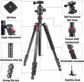 img 3 attached to 📷 JEIFN Q558 67.3-Inch Lightweight Camera Tripod for Sony Nikon Canon w/ 1/4" Quick Release Plate, 360° Ball Head, Phone Clip - Heavy Duty Tripod for Video, Photography, Vlog, Travel, Spotting Scope